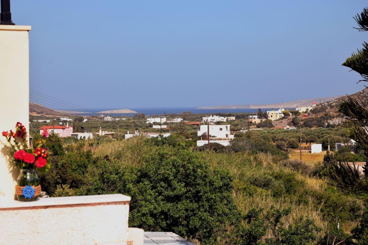 Rosa 'S House Διαμέρισμα Παλαίκαστρο Εξωτερικό φωτογραφία