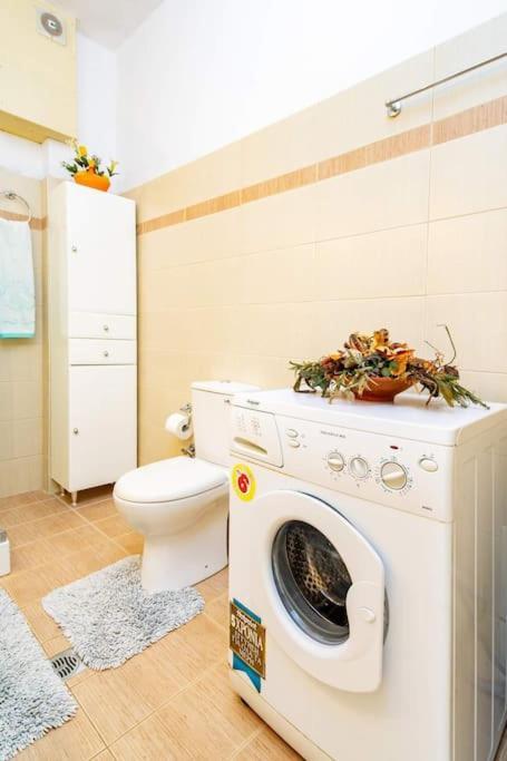 Rosa 'S House Διαμέρισμα Παλαίκαστρο Εξωτερικό φωτογραφία